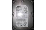 Seagate 720010 750GB Hard Drive