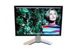 Dell 2407WFP TFT monitor