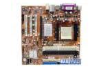 Foxconn WinFast 6100K8MA-RS Motherboard