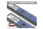 GSkill F1-4000BIU2-2GBHV