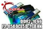 GSKill F2-8500CL5D-2GBHK PC8500 DDR2 Speichertest