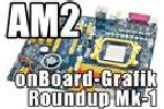 AMD Sockel AM2 onBoard Grafik Mainboard