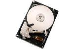 Hitachi Deskstar 7k1000 1TB Hard Drive