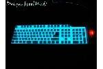 Brando flexible illuminated full sized keyboard