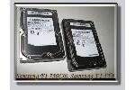 Samsung F1 750GB und Samsung F1 1TB im Dauertest
