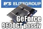 ECS Elitegroup GeForce 9600 GT Grafikkarten
