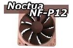 Noctua NF-P12 120mm Lfter