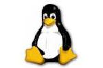 Getting familiar with Linux