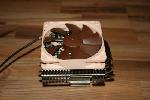 Noctua NH-C12P Khler