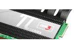 GSkill PI Black PC3-12800 1600MHz CL8 6GB Memory Kit