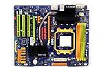 Biostar TPower N750 nForce 750a Motherboard