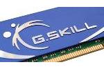GSkill F3-12800CL8T-6GBHK Tri-Channel DDR3 Memory