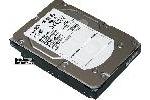 Seagate Cheetah 15K7 SAS 15000 RPM Hard Drive