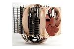 Noctua NH-D14 Heatpipe Cooler