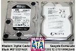 Western Digital WD1002FAEX und Seagate ST31000528AS