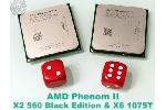 AMD Phenom II X6 1075T und X2 560 BE