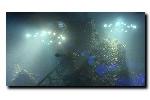 20 Grafikkarten mit allen Presets im DirectX-11