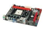 Biostar A55MLV Mainboard