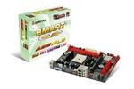 Biostar A55ML2 Mainboard