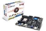 Biostar Hi-Fi A85W Motherboard