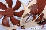 Noctua NF-A14 FLX and Noctua NF-A14 ULN Fan