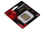 Kingston 256GB SDXC UHS-1 Memory Card