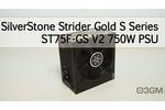 SilverStone ST75F-GS V2 750W Video