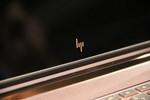 HP Spectre 13