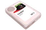 Seagate IronWolf 10TB HDD