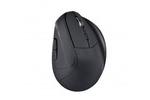 Spire Archer 12 Mouse