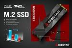 Biostar M500 M2 2280 PCI-Express NVMe SSD