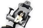 Corsair T3 RUSH Gaming Chair