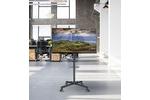 reflecta 55P-Shelf TV Stand