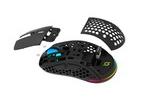 Aqirys TGA Mouse