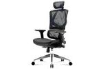 Sihoo M90D Chair