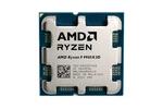 AMD Ryzen 9 9900X3D