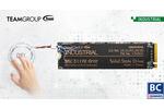Teamgroup P250Q Self Destruct SSD