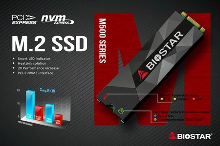 Biostar M500 M2 2280 PCI-Express NVMe SSD