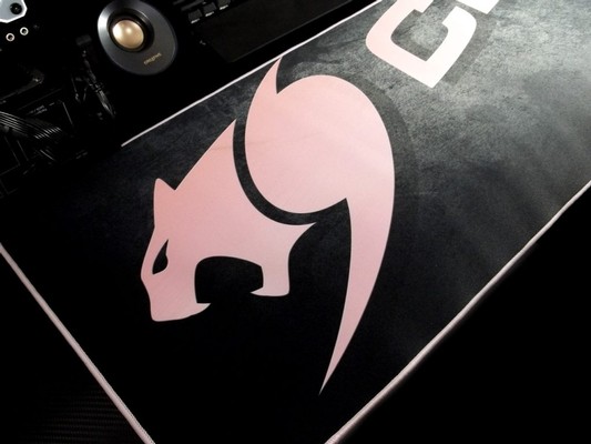 Cougar Arena X Pink Pad