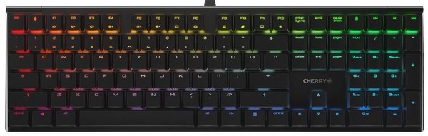 Cherry MX 100 Keyboard