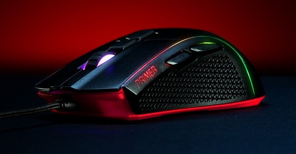 XPG Primer Mouse