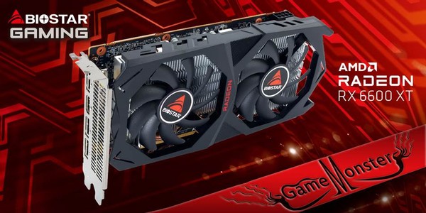 Biostar AMD Radeon RX 6600 XT Graphics Card