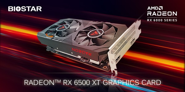 Biostar AMD Radeon RX 6500 XT Graphics Card