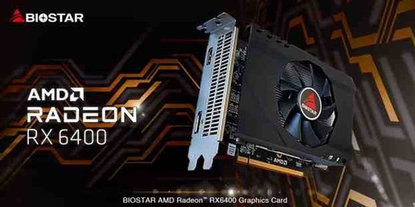 Biostar AMD Radeon RX 6400 Graphics Card