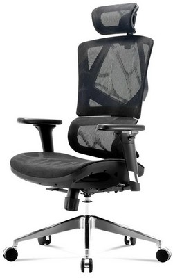 Sihoo M90D Chair