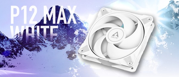 Arctic P12 Max Lfter in Wei