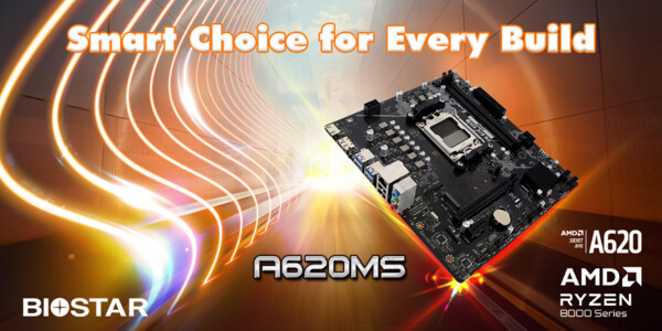 Biostar A620MS Motherboard