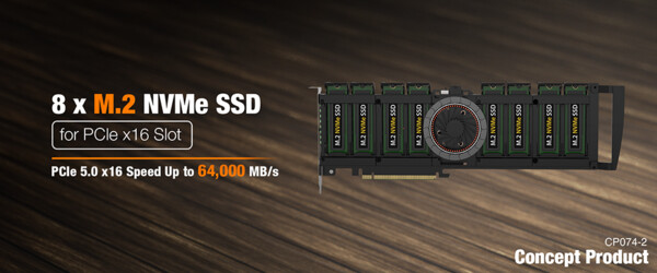 Icy Dock PCIe Wechselrahmen