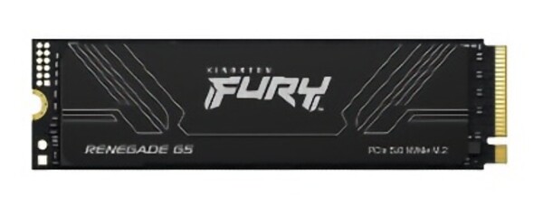 Kingston Fury Renegade G5 SSD