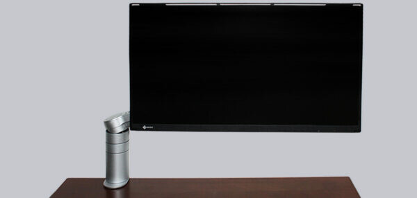 Eizo FlexScan FLT Monitor